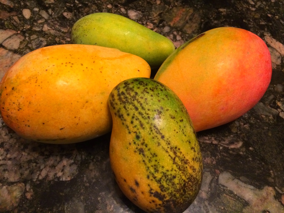 Jamaican Mango Names