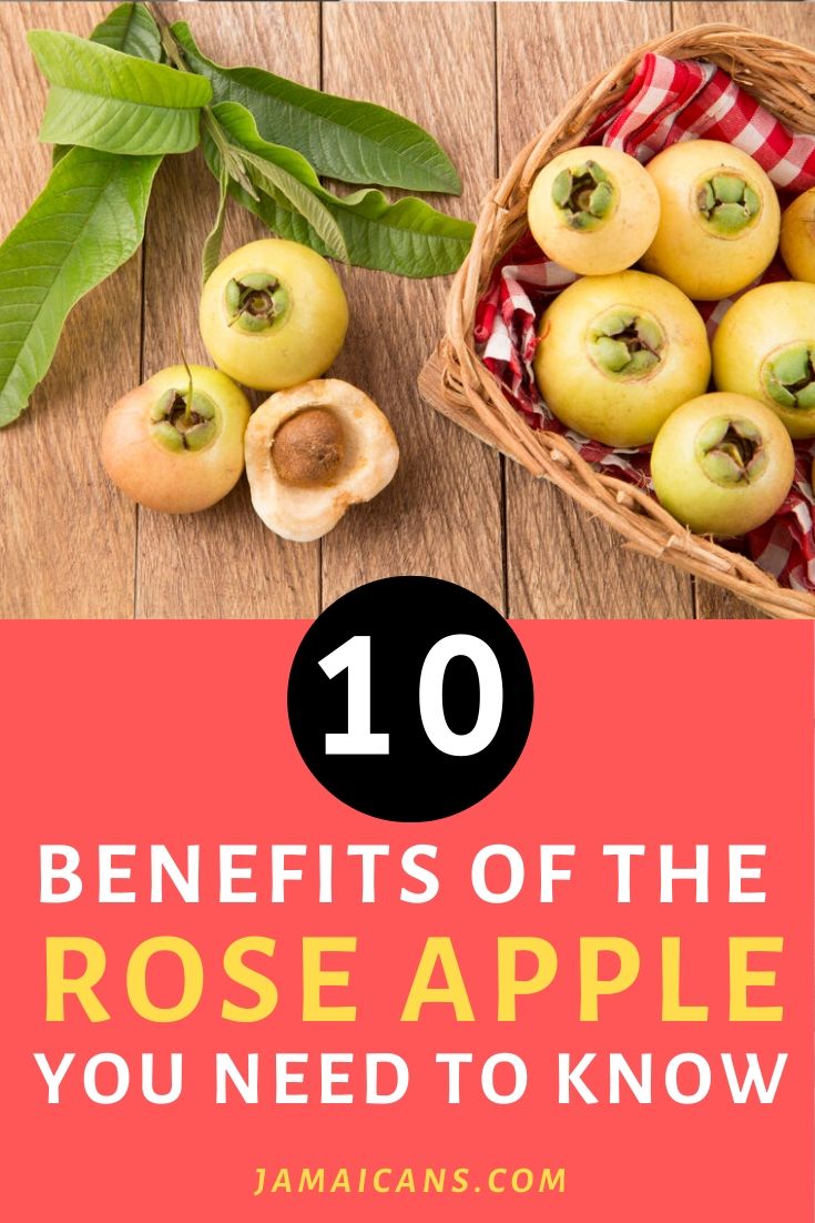 The 10 Benefits of the Rose Apple You Need to Know PN