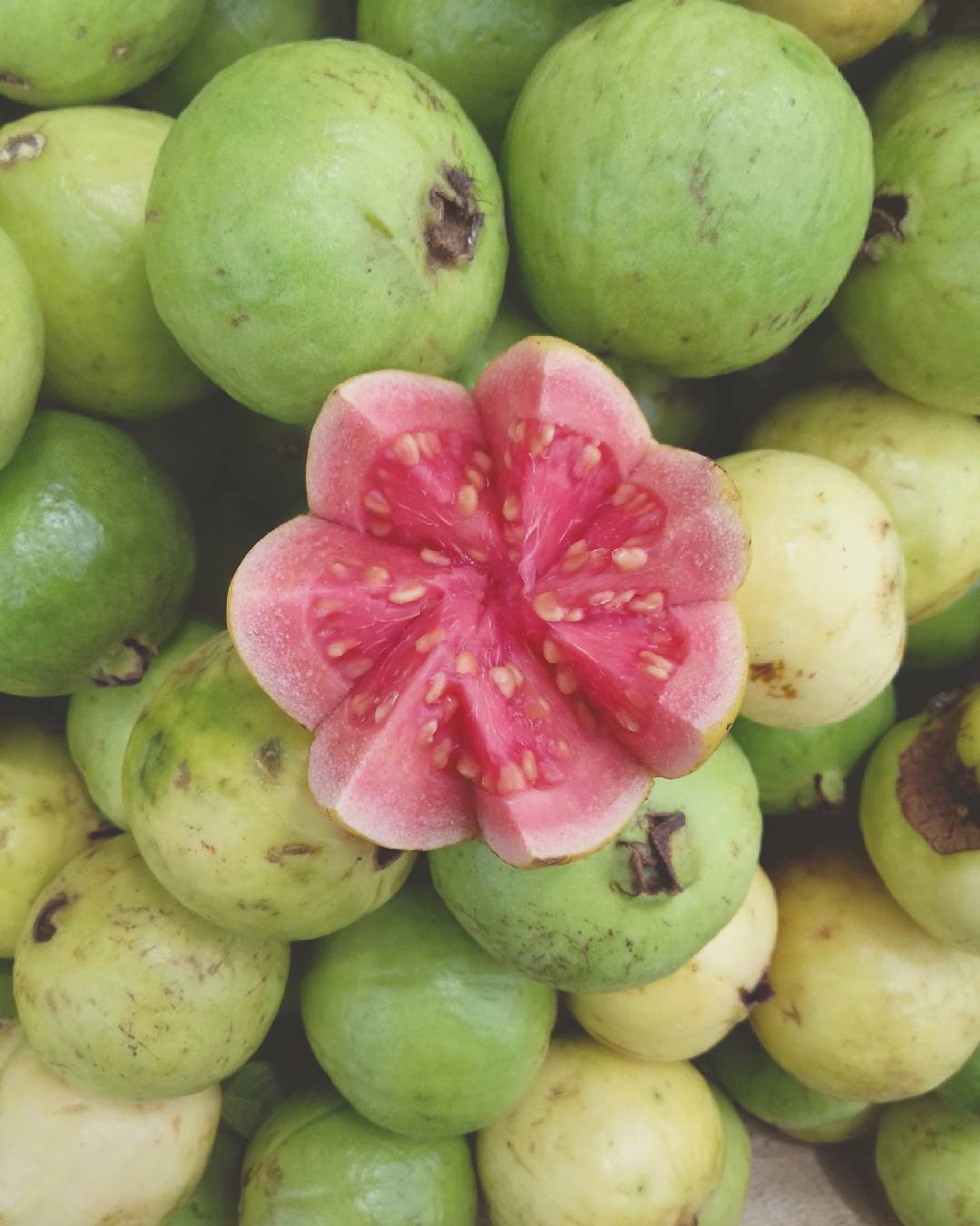 Fruits Jamaicans Love - Guava via totayl