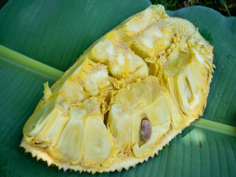 10 Benefits are why Jackfruit is Being Called a Super Fruit