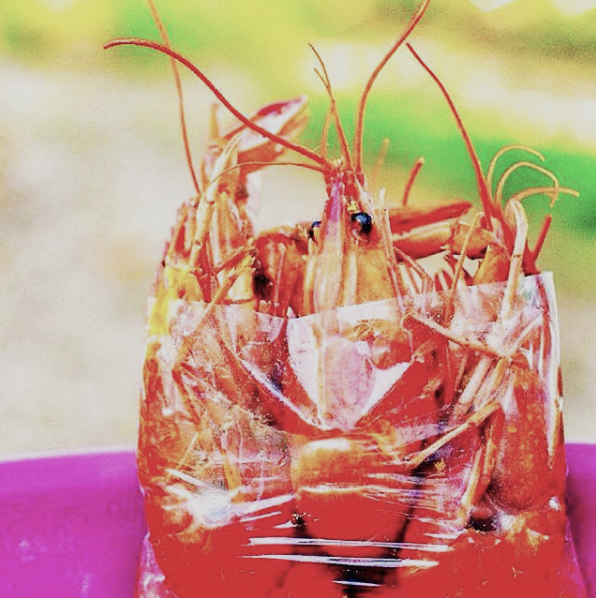 Peppered Shrimps by kwesianthony
