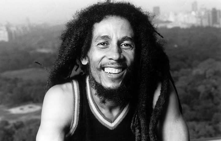 Bob Marley - Jamaican Reggae Artist