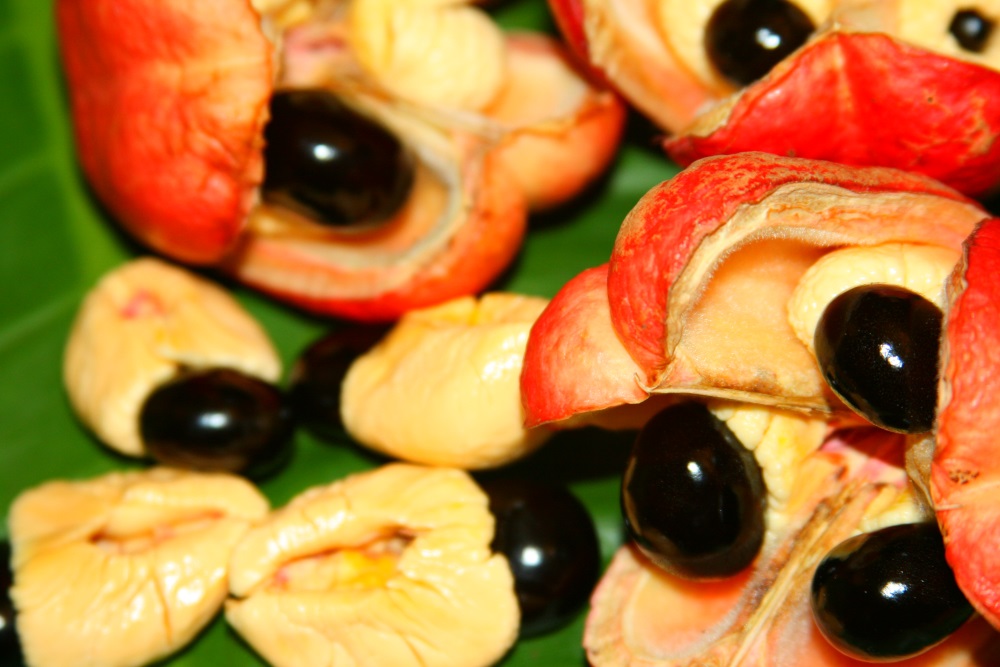 what do you know about ackee