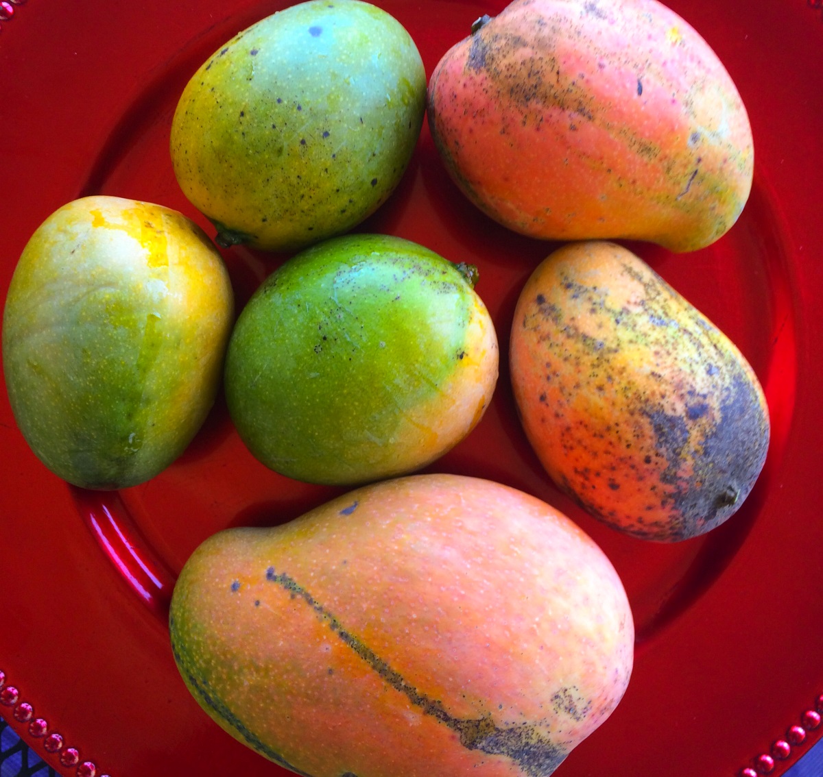 Jamaican fruits - Mango