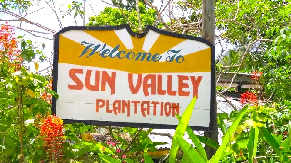 Sun Valley Plantation