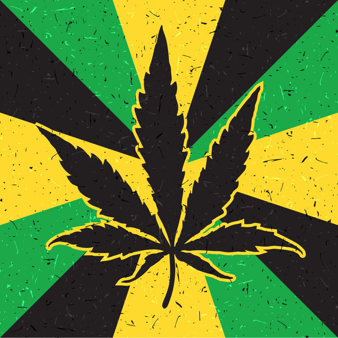 Top 10 Jamaican Business News Stories medical marijuana industry in Jamaica
