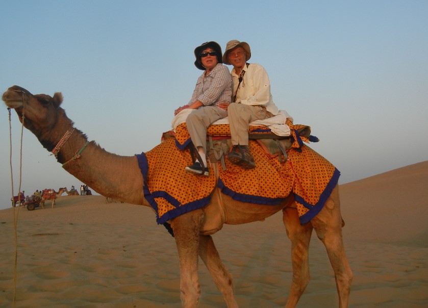 camel ride in india