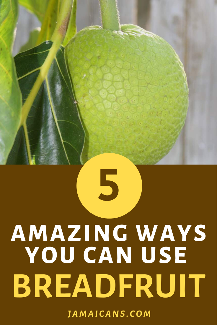 5 Amazing Ways You Can Use Breadfruit