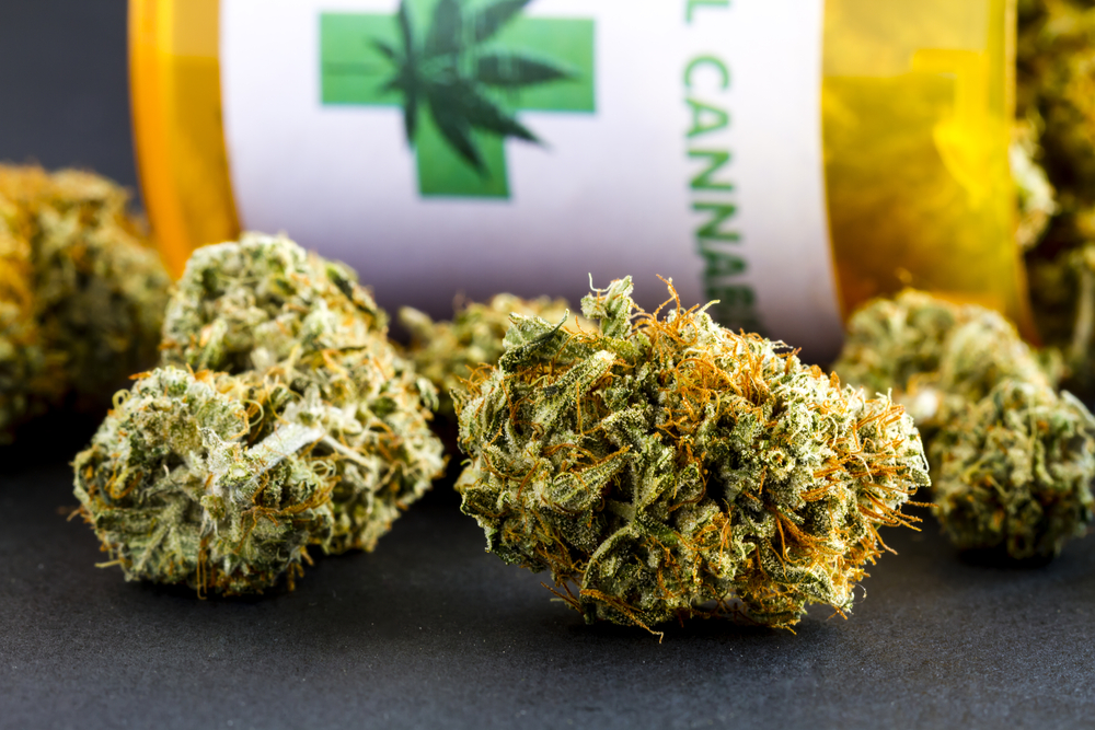 Researchers Explore Potential of Cannabis to Treat Lung Inflammation from COVID-19