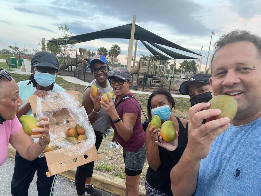 Jamaican East Indian and Julie Mangoes Now Available in South Florida