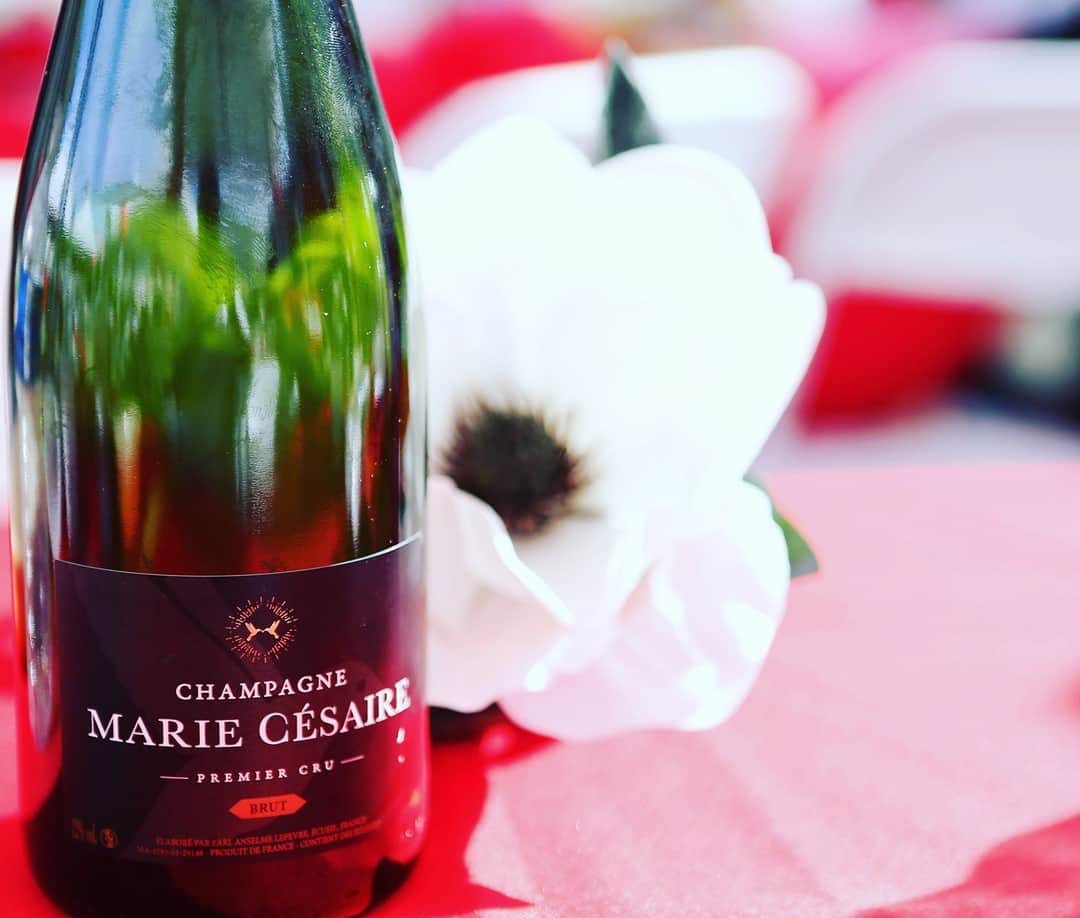 This Caribbean-born Entrepreneur Breaks into France Exclusive Champagne Club - Marie Ines Romelle 3